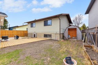 Photo 44: 228 Beddington Circle NE in Calgary: Beddington Heights Detached for sale : MLS®# A2129122