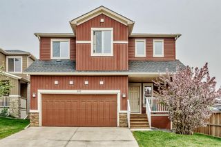 Photo 2: 100 WEST CREEK Green: Chestermere Detached for sale : MLS®# A2050657