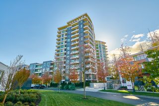 Photo 1:  in Vancouver: UBC Condo for rent (Vancouver West)  : MLS®# AR145