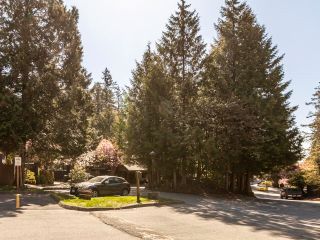 Photo 22: 2038 PURCELL Way in North Vancouver: Lynnmour Condo for sale in "Purcell Woods" : MLS®# R2874769