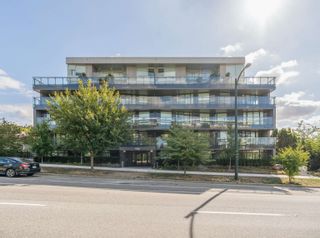 Photo 14: 306 7638 CAMBIE Street in Vancouver: Marpole Condo for sale in "WINONA" (Vancouver West)  : MLS®# R2856522