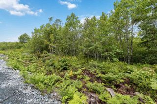 Photo 14: Lot 4 Maple Ridge Drive in White Point: 406-Queens County Vacant Land for sale (South Shore)  : MLS®# 202315175