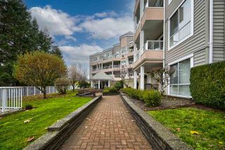 Photo 1: 507 11605 227 Street in Maple Ridge: East Central Condo for sale in "The Hillcrest" : MLS®# R2527851
