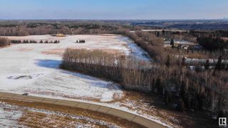 Photo 19: 43 25527 Twp Road 511A: Rural Parkland County Vacant Lot/Land for sale : MLS®# E4378957
