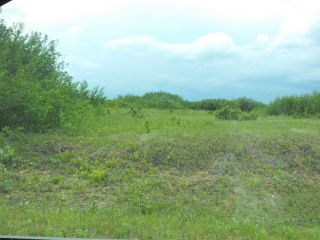 Photo 5: RR60 Twp 565: Rural St. Paul County Land Commercial for sale : MLS®# E4121452