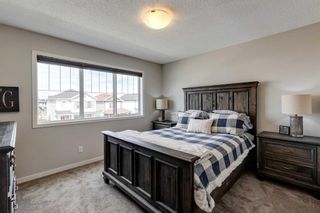 Photo 16: 224 Copperpond Parade SE in Calgary: Copperfield Detached for sale : MLS®# A2072385