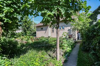 Photo 42: 348 Redwood Avenue in Winnipeg: North End Residential for sale (4A)  : MLS®# 202304174