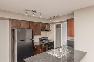 Photo 6: 413 7130 80 Avenue NE in Calgary: Saddle Ridge Apartment for sale : MLS®# A1144458