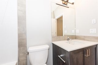 Photo 32: 163 homestead Drive NE in Calgary: C-686 Detached for sale : MLS®# A2050338