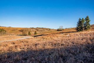 Photo 5: 260080 Glenbow Road in Rural Rocky View County: Rural Rocky View MD Residential Land for sale : MLS®# A1100979