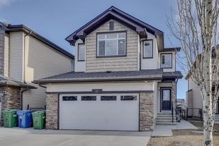 Main Photo: 17 Skyview Springs Road NE in Calgary: Skyview Ranch Detached for sale : MLS®# A2130072