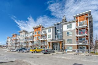 Photo 15: 4109 302 Skyview Ranch Drive NE in Calgary: Skyview Ranch Apartment for sale : MLS®# A1191682