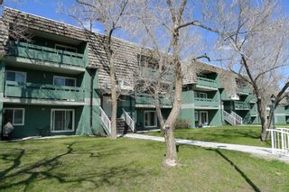 Photo 2: 4102 315 Southampton Drive SW in Calgary: Southwood Apartment for sale : MLS®# A2125468