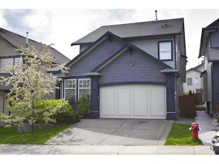 Photo 5: 6949 198TH ST in Langley: Willoughby Heights House for sale : MLS®# F1410505