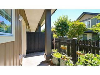 Photo 18: 41 4967 220 Street in Langley: Murrayville Townhouse for sale in "Winchester Estates" : MLS®# R2596743