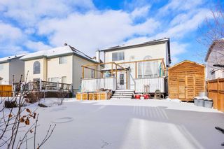 Photo 54: 224 Panorama Hills Place NW in Calgary: Panorama Hills Detached for sale : MLS®# A2116865