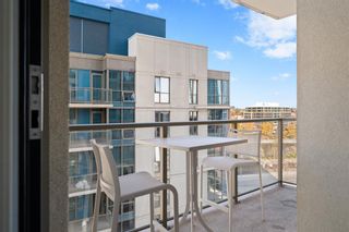 Photo 19: 801 325 3 Street SE in Calgary: Downtown East Village Apartment for sale : MLS®# A2020973