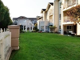 Photo 6: 113 19750 64 Avenue in Langley: Willoughby Heights Condo for sale in "The Davenport" : MLS®# R2731337