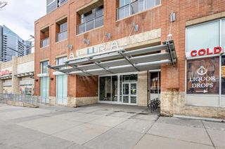 Photo 3: 503 1320 1 Street SE in Calgary: Beltline Apartment for sale : MLS®# A2118444