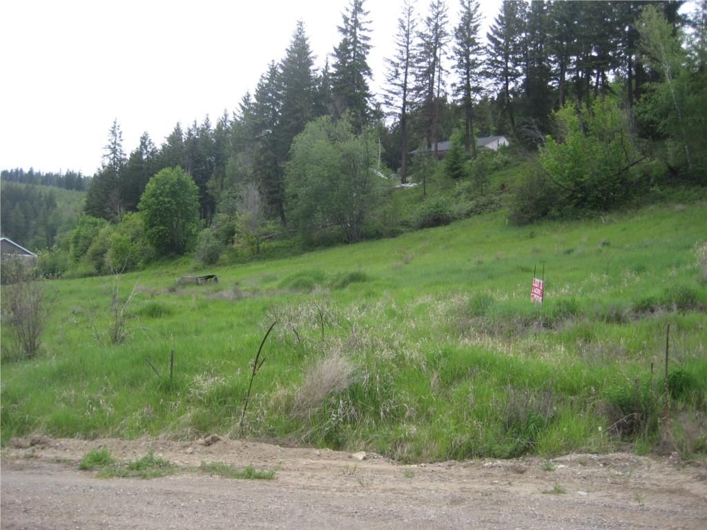 Main Photo: 2481 Squilax Anglemont Road # 2 in Lee Creek: Land Only for sale : MLS®# 10009047