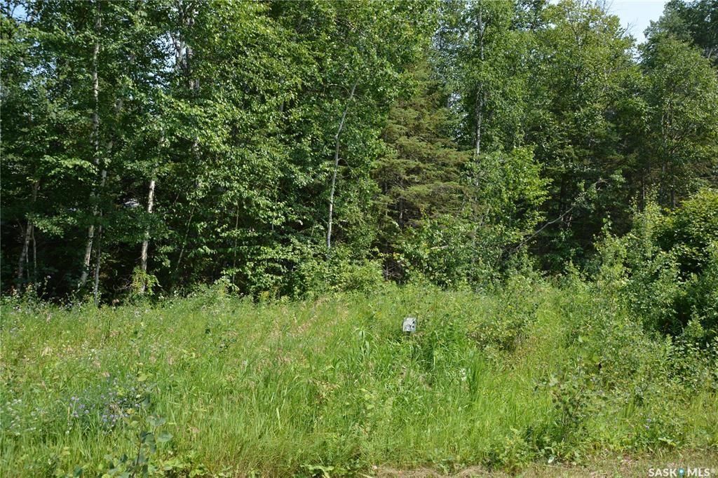Main Photo: 00 Pineridge Drive in Canwood: Lot/Land for sale (Canwood Rm No. 494)  : MLS®# SK937067