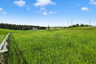 Photo 4: 0 Parkins Road: Millarville Residential Land for sale : MLS®# A1257087