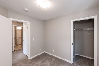 Photo 17: 202 245 Redstone Walk NE in Calgary: Redstone Apartment for sale : MLS®# A1158635