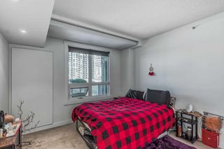 Photo 21: 1011 8880 Horton Road SW in Calgary: Haysboro Apartment for sale : MLS®# A2096199
