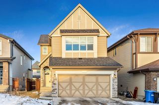 Photo 29: 120 Walden Rise SE in Calgary: Walden Detached for sale : MLS®# A2020173