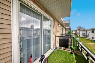Photo 17: G 4511 75 Street NW in Calgary: Bowness Row/Townhouse for sale : MLS®# A2128661