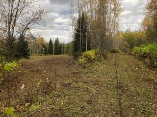 Photo 1: 953 FOREMAN Road in Prince George: Shelley Land for sale (PG Rural East)  : MLS®# R2682687