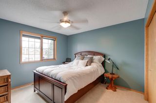 Photo 41: 160 Mt Robson Circle SE in Calgary: McKenzie Lake Detached for sale : MLS®# A1099361
