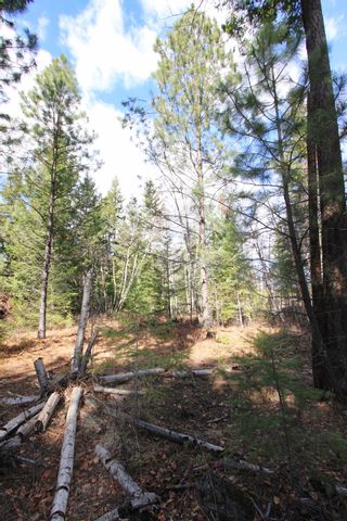 Photo 22: Lot B Zinck Road in Scotch Creek: Land Only for sale : MLS®# 10249220