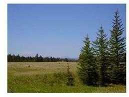 Main Photo: Range Road 55: Rural Mountain View County Agriculture for sale : MLS®# A2082949