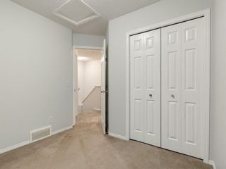 Photo 30: 300 COPPERSTONE Gardens SE in Calgary: Copperfield Detached for sale : MLS®# A1051228