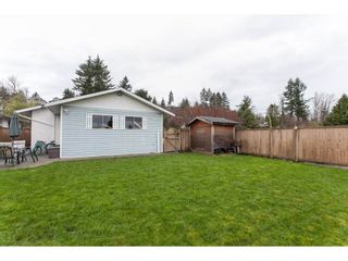 Photo 18: 8183 PHILBERT Street in Mission: Mission BC House for sale : MLS®# R2153124