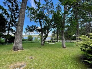 Photo 22: 3465 Beach Dr in Oak Bay: OB Uplands House for sale : MLS®# 876299