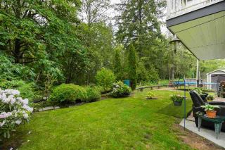 Photo 19: 23907 115A Avenue in Maple Ridge: Cottonwood MR House for sale : MLS®# R2442943