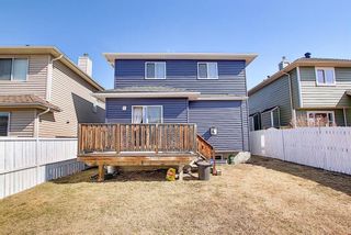 Photo 29: 8230 Saddleridge Drive NE in Calgary: Saddle Ridge Detached for sale : MLS®# A1085120