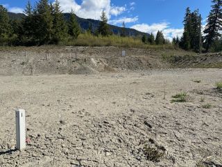 Photo 39: Lots 1 or 3 3648 Braelyn Road in Tappen: Sunnybrae Estates Land Only for sale (Shuswap Lake)  : MLS®# 10310808