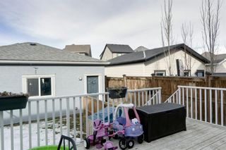 Photo 33: 27 Marquis Link SE in Calgary: Mahogany Detached for sale : MLS®# A1194463