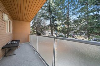 Photo 17: 202 2114 17 Street SW in Calgary: Bankview Apartment for sale : MLS®# A2124993