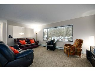 Photo 4: 21078 GLENWOOD Avenue in Maple Ridge: Northwest Maple Ridge House for sale : MLS®# V1103012