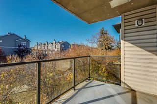 Photo 17: 201 1602 11 Avenue SW in Calgary: Sunalta Apartment for sale : MLS®# A2036988