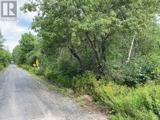 Photo 3: Hastings Road in Springfield: Vacant Land for sale : MLS®# 202401817