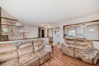 Photo 4: 3816 Dover Ridge Drive SE in Calgary: Dover Detached for sale : MLS®# A2124560