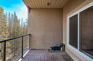 Photo 21: 437 20 Discovery Ridge Close SW in Calgary: Discovery Ridge Apartment for sale : MLS®# A2129633
