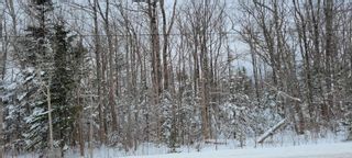 Photo 5: Lot B Black Rock Road in Whites Corner: Kings County Vacant Land for sale (Annapolis Valley)  : MLS®# 202301636