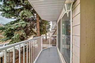Photo 9: 109 110 20 Avenue NE in Calgary: Tuxedo Park Apartment for sale : MLS®# A2122096