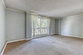 Photo 15: 309 315 HERITAGE Drive SE in Calgary: Acadia Apartment for sale : MLS®# A1029612